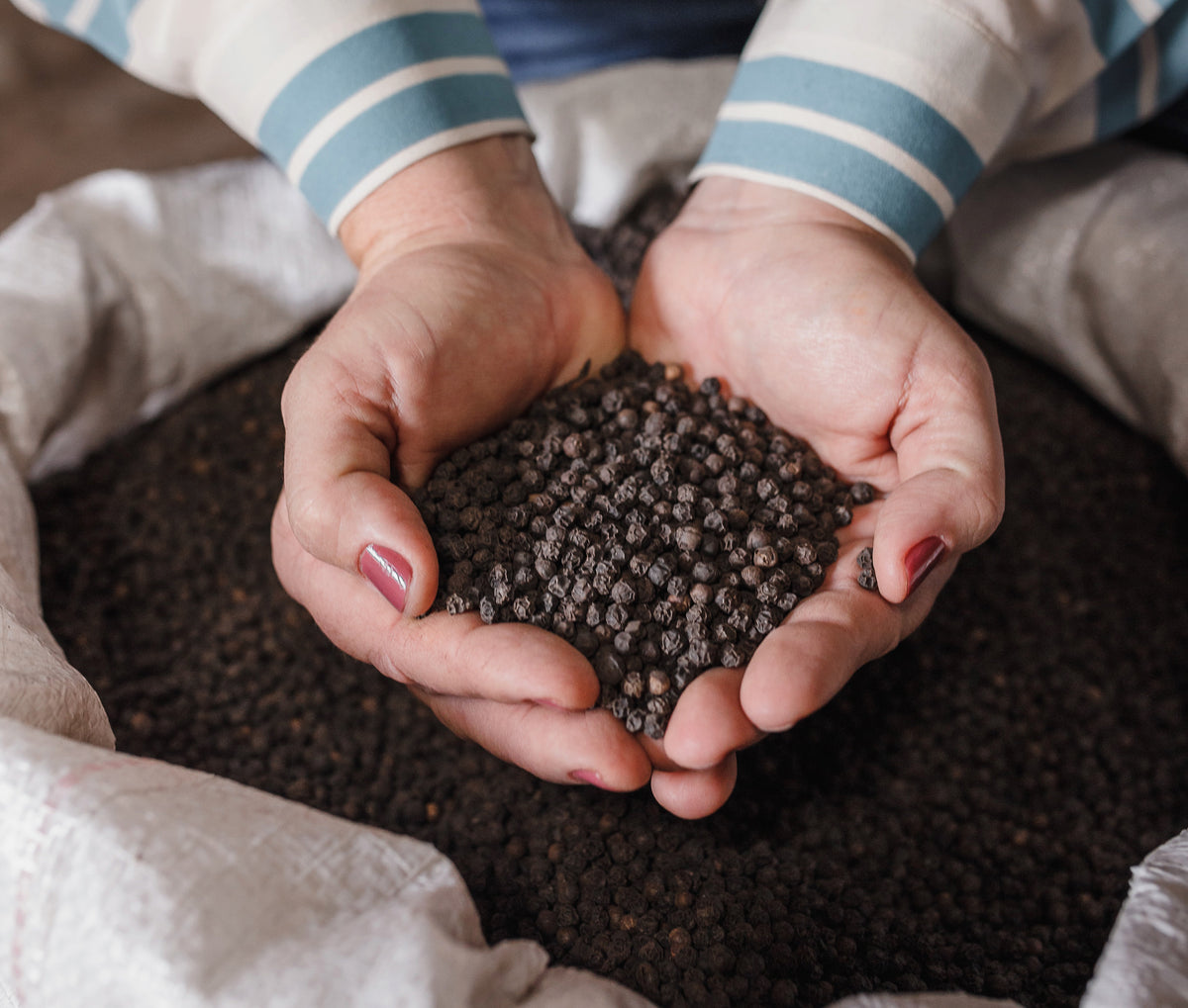 Benefits of black pepper Golden Essential Foods