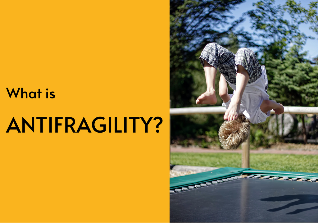 What is antifragility?